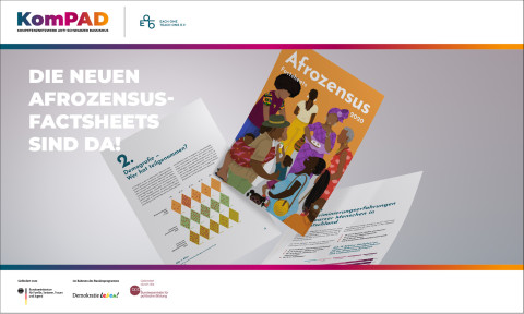 DIE NEUEN AFROZENSUS-FACTSHEETS SIND DA